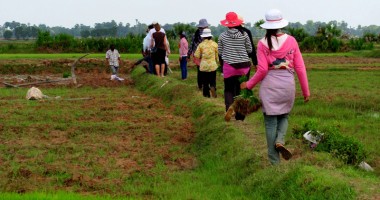 Stire din Social : Agricultura are nevoie urgentă de ploi!