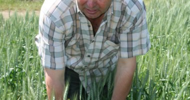 Stire din Economie : Agricultorii constănțeni au scăpat ieftin