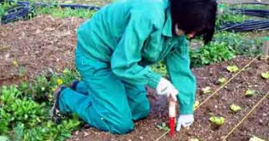 Stire din Economie : Agricultura ecologică crește exponențial