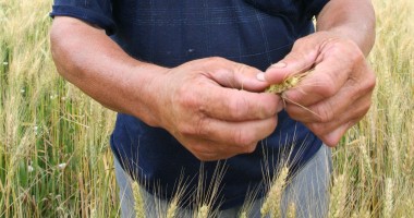 Stire din Economie : S-a prelungit termenul de depunere a cererilor pentru ajutorul acordat agriculturii ecologice