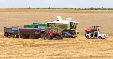 Stire din Economie : APIA dă fermierilor bani. Află dacă te numeri printre ei