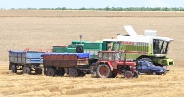 Stire din Economie : Buletin agrometeorologic. Ploile recente nu au fost suficiente în Dobrogea