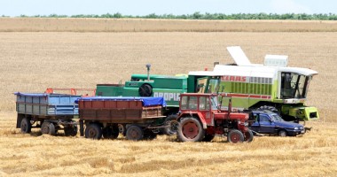 11.000 de fermierii, chemați să aleagă conducerea Camerei Agricole Județene