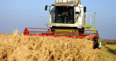 Stire din Economie : Agricultura României primește o finanțare europeană  mai mare cu 27%