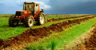 Stire din Economie : Guvernul a aprobat două scheme de ajutor de stat în agricultură