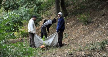 Stire din Social : Toamna gospodarilor. A început curățenia, la Constanța!
