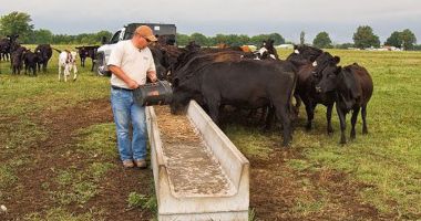 Stire din Economie : A început depunerea cererilor pentru ajutorul de stat în sectorul zootehnic