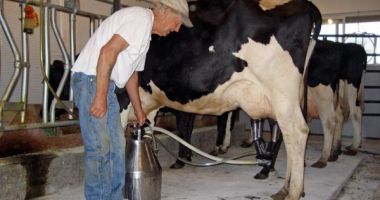 A început plata ajutorului de stat pentru crescătorii de animale
