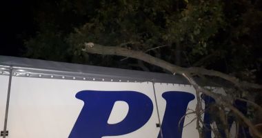 GALERIE FOTO / ACCIDENT RUTIER LA CONSTANȚA. A intrat cu tirul în pom! - 4