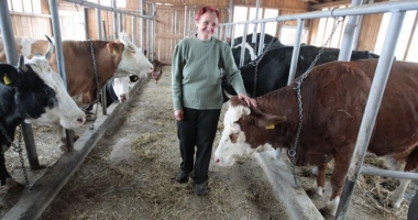 Stire din Economie : Ajutoare pentru crescătorii de vaci  de lapte și de porcine
