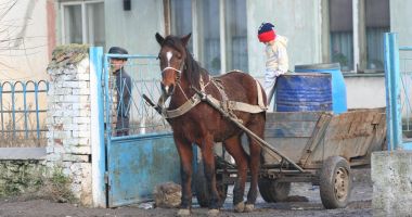 Stire din Social : Ajutoare de urgență pentru 470 familii și persoane singure