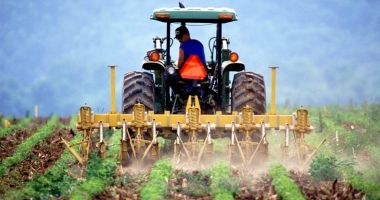Stire din Economie : Ajutoarele de stat pentru fermieri ar putea fi impozitate