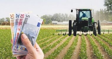 Stire din Economie : Ajutor de stat de 500 de milioane de lei, pentru fermieri