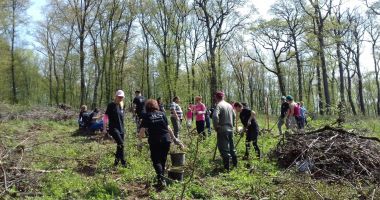 Stire din Economie : Ajutor de stat pentru servicii de silvomediu, climatice și conservarea pădurilor