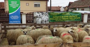 Stire din Social : LECȚIE DE VIAȚĂ! Iată cum a fost ajutat un fermier a cărui gospodărie a fost distrusă de incendiu