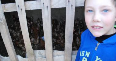 Ajutor pentru două familii nevoiașe din Constanța - 2