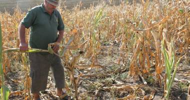 Stire din Economie : Alarmă în agricultură