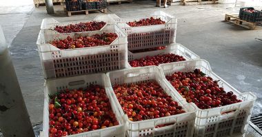 Alertă alimentară în România din cauza pesticidelor. Cum recunoaștem fructele și legumele toxice