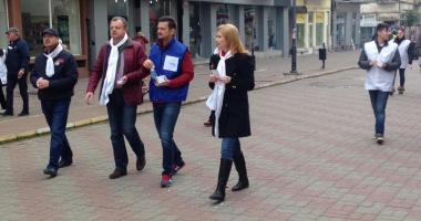 ALDE, PMP și USR, trei partide care speră să ajungă în Parlament. Pe cine mizează în alegeri - 3
