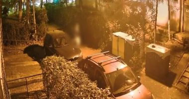 Stire din Eveniment : Clipe de groază pe o alee. O tânără a fost tăiată după ce s-a luptat cu un bărbat care a atacat-o