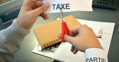 Stire din Economie : Alegerile parlamentare vor aduce reforma fiscală
