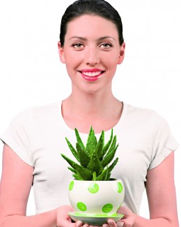 Stire din Diverse : Aloe Vera, cu bune și cu rele
