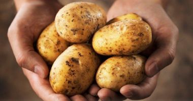Stire din Social : ALERTĂ ALIMENTARĂ! Cartofi din Egipt, contaminați cu o bacterie periculoasă, interziși în România