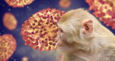 Stire din Actualitate : Alertă OMS! Epidemia de mpox din R.D. Congo s-a extins în țările vecine