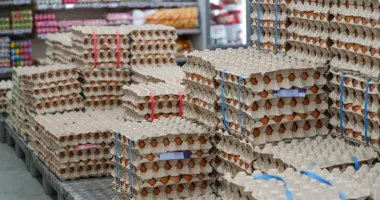 Stire din Social : Alertă sanitară înainte de Paşte: milioane de ouă suspecte de contaminare cu Salmonella retrase de pe piaţă