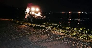 Zeci de tone de alge, adunate de pe litoral. "Ajung la țărm cantități impresionante de alge!" - 2