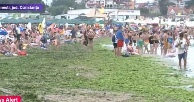 Stire din Social : Este invazie de alge pe litoral. Cum arată acum plaja din Costinești