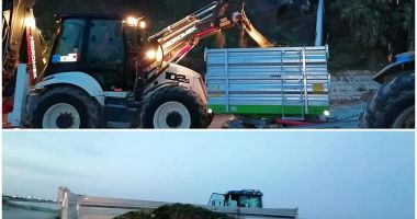 VIDEO / Invazie de alge pe litoral. "De mai bine de 10 ani nu am mai văzut atâtea alge!" - 2