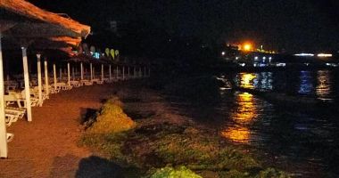 Tone de alge, pe plajele românești. "E o barbarie să muncești la furcă în mileniul III!" - 4