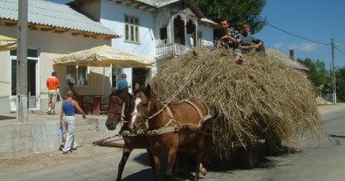 Stire din Social : Fii înstărit la tine în sat!