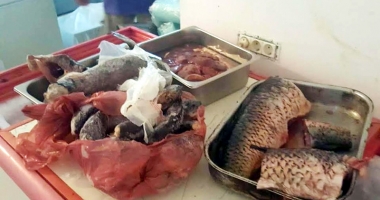 Stire din Social : Restaurante închise pe litoral. Carne, ouă și lactate alterate, confiscate și incinerate de inspectorii sanitari