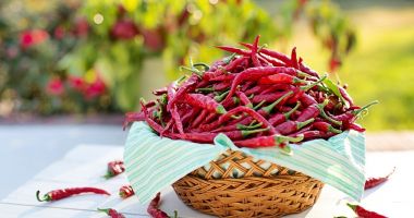 Stire din Sănătate : Alimentele picante sau sărate favorizează apariţia herpesului