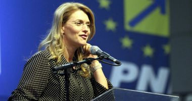 Alina Gorghiu: Țara nu este guvernată. Premierul nu a mai organizat ședințe de Guvern