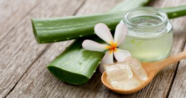 Stire din Sănătate : Aloe vera are proprietăți antibacteriene, accelerând vindecarea rănilor