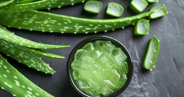 Stire din Sănătate : Aloe vera reduce riscul de afecțiuni cronice, cum ar fi diabetul