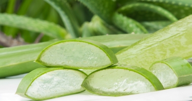 Stire din Sănătate : Aloe vera tratează constipația și întărește sistemul imunitar
