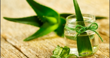 Stire din Sănătate : Când este bine  să folosești Aloe Vera