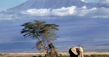 Stire din Sport : Alpinism / Patru români vor escalada Vârful Kilimanjaro