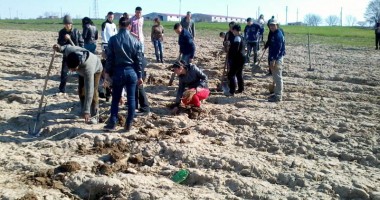 Stire din Politică-Administrație : Alunecările de teren din Gârliciu, stabilizate  cu ajutorul salcâmilor