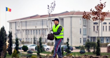 Spațiul verde din campusul Universității "Ovidius", amenajat de APM Terminals România și MaiMultVerde - 2