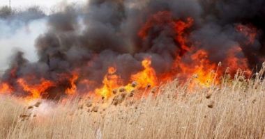 Stire din Social : Ce amendă riști dacă dai foc la vegetație în 2024