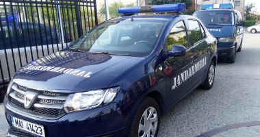 Stire din Eveniment : Amendată cu 1.500 de lei pentru că nu și-a supravegheat câinele