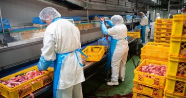 Controale de amploare! Amenzi de aproape 600.000 lei pe litoralul Mării Negre