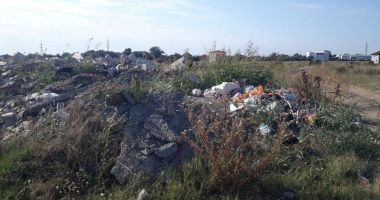 Administrația locală, amenzi pentru proprietarii care nu își îngrijesc terenurile - 2