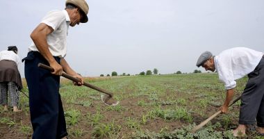 Stire din Economie : "Am muncit 50 de ani în agricultură și nu mi s-a întâmplat așa ceva!"