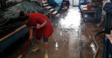 Stire din Social : Ample acțiuni de igienizare în piețele agroalimentare din Constanța